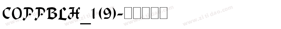 COPPBLH_1 (9)字体转换